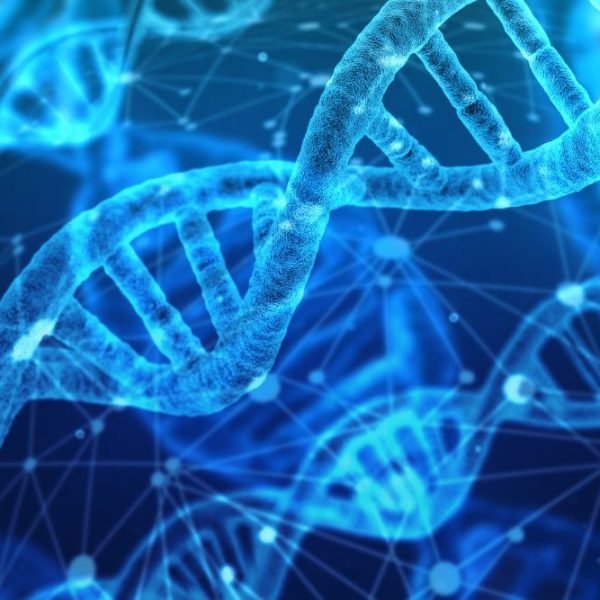 Whole Exome Sequencing