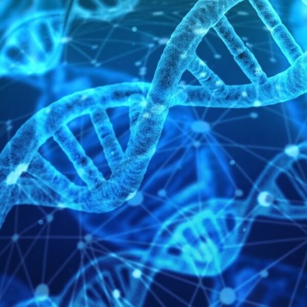 Whole Exome Sequencing